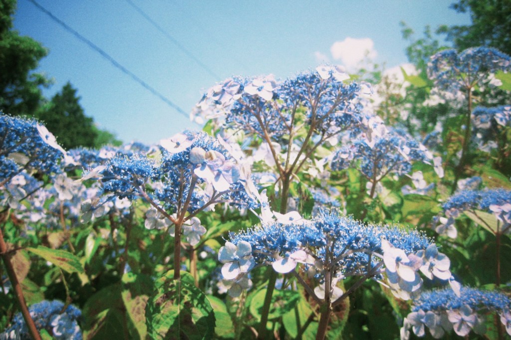 HPを開設しました。