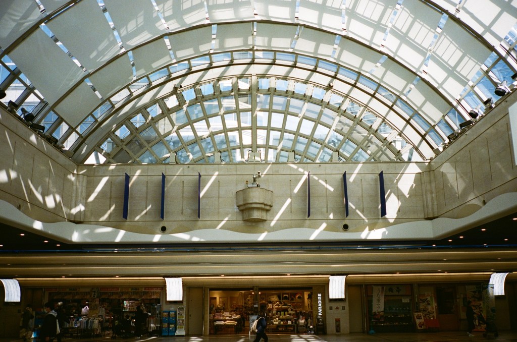 描くのも撮るのも。