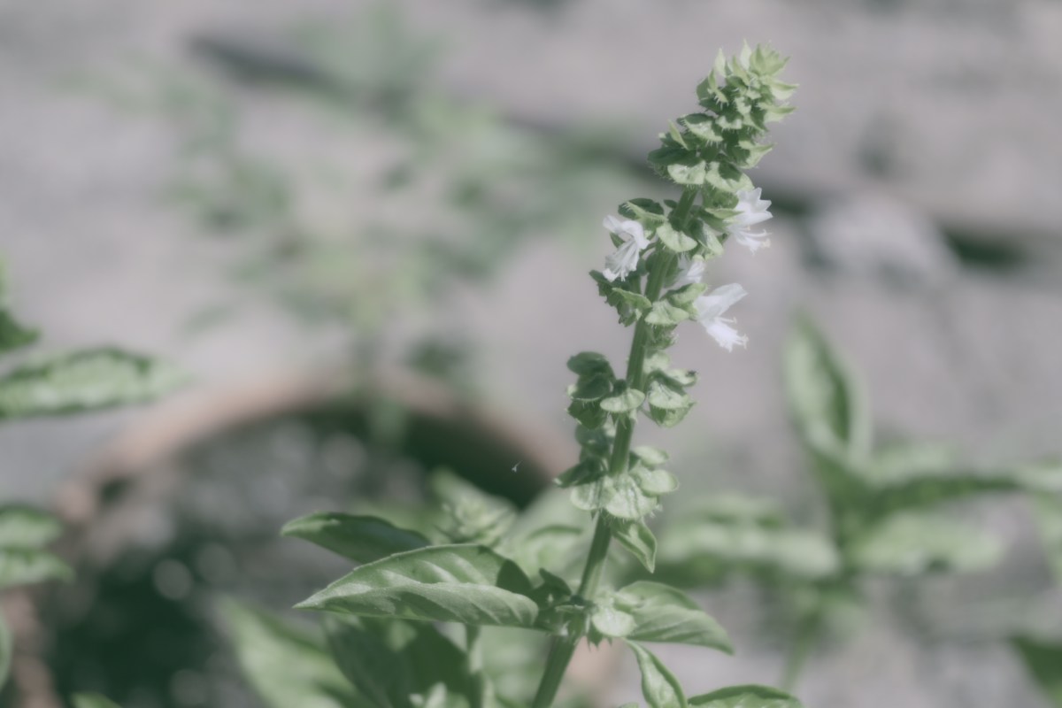 漫画家だけど絵を描いている感覚がないという話