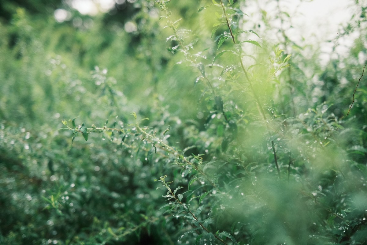 ５月と６月の記憶整理